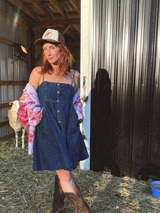 Brynn Denim Mini Dress