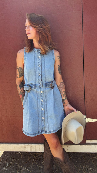 Silver Springs Denim Button Up Dress
