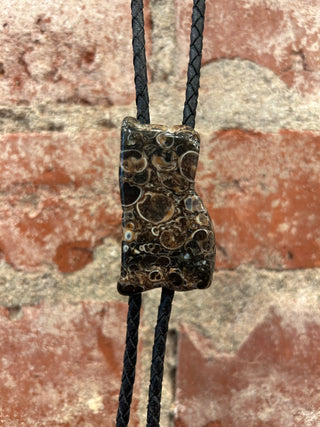 Turritella Agate Bolo Tie