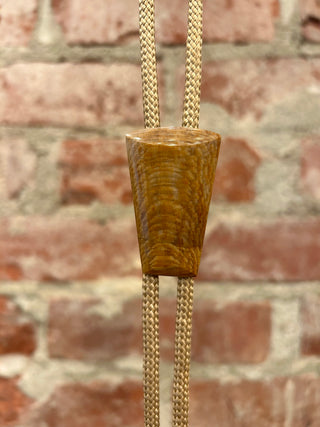 Petrified Wood Emblem Bolo Tie