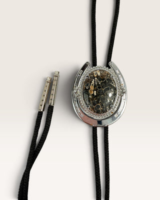 Turritella Fossil Agate Bolo Tie
