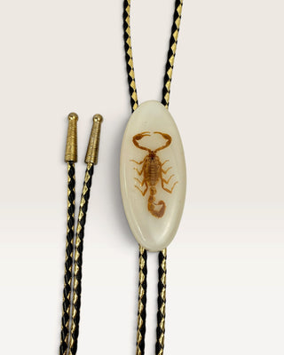 Scorpion in Resin Bolo Tie