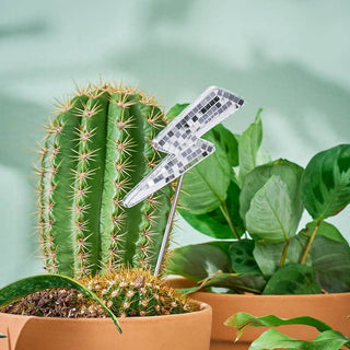 Disco Lightning Bolt Plant Stake