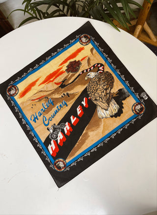 Harley Davidson Desert Road Bandana